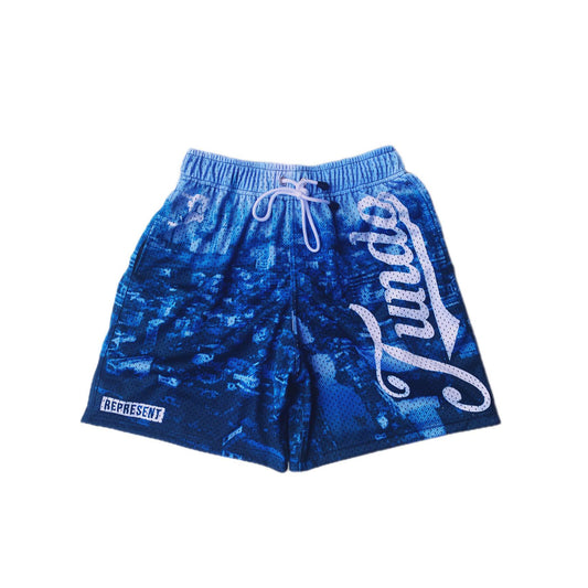 "SKYWARD" MESH SHORTS | BLUE